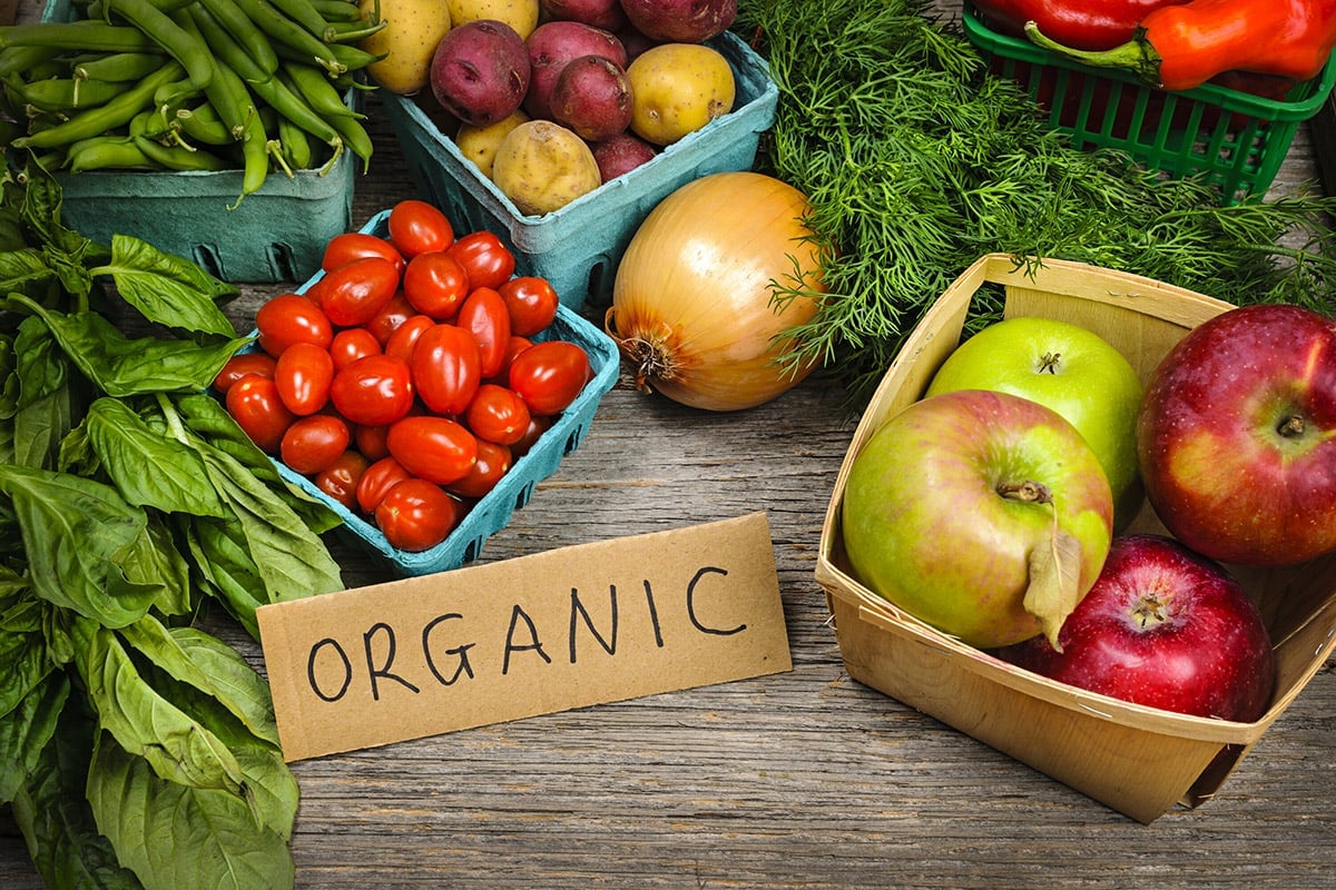  Organic farming course in Dehradun